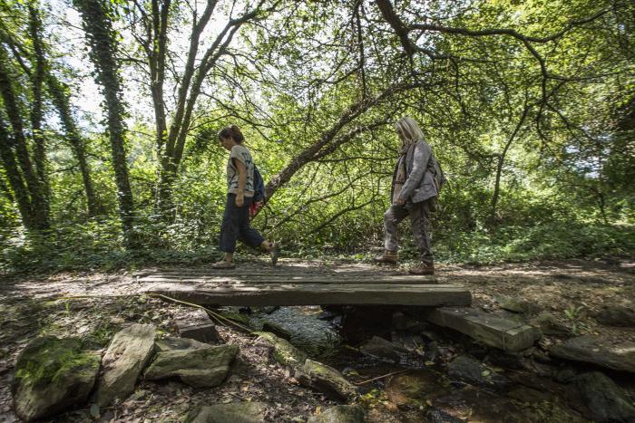 La forêt du Gorvello à Sulniac